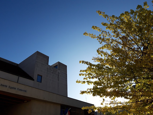 Commentaires et avis sur Collège Louis et Auguste Lumière