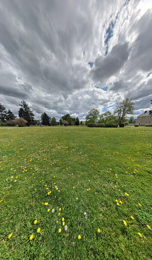 Memory/Mill Plain Park - Visual
