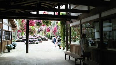 Photos of 加茂花鳥園