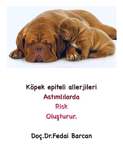 Doç Dr Fedai Barcan Astım Allerji Merkezi