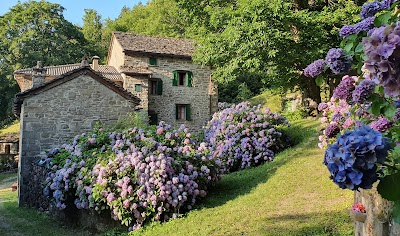 Borgo di Tresana