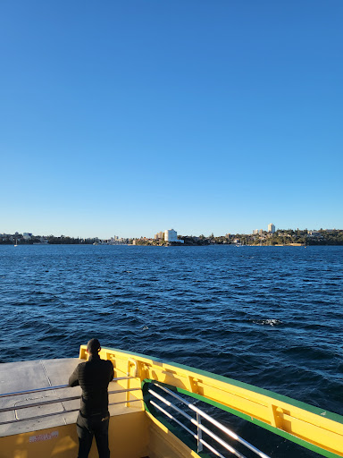 North Harbour - Thumbnail