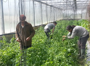 Photo n°3 de Eco domaine de Vailhauquès à Vailhauquès (Ferme)