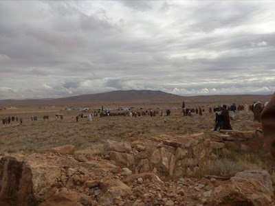 Photos of الزاوية العزوزية سيدي عامر