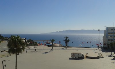 Photos of H&ocirc;tel Basilic