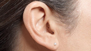 Photo n°1 de Audition C. BERGER à Vernoux-en-Vivarais (Service de réparation d'appareils auditifs)