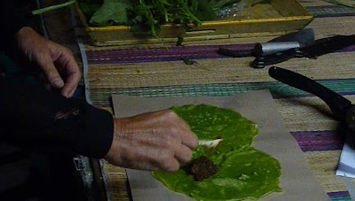 Photos of "Authentique" ECOoking Class