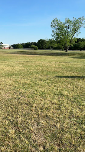 soccer field