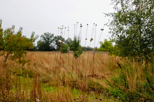 Werkshof-Wolfsruh
