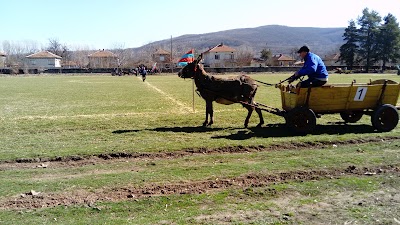Photos of stadium Djulyunitsa