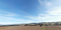 Black Estate Wines Open Times