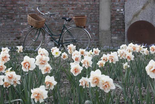 Molino Secondo - Visual
