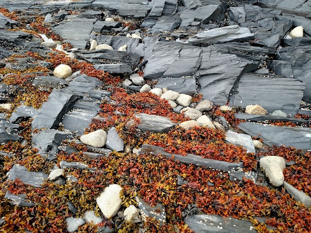 Petroglyph Beach State Historic Site