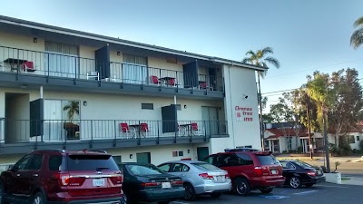 Photos of Orange Tree Inn