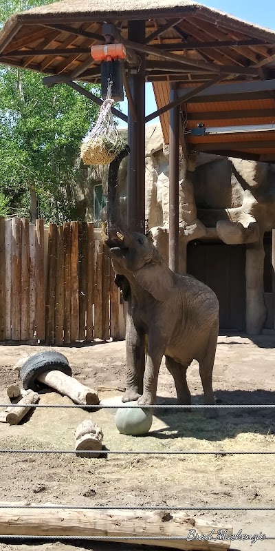 Hogle Zoo Guest Services