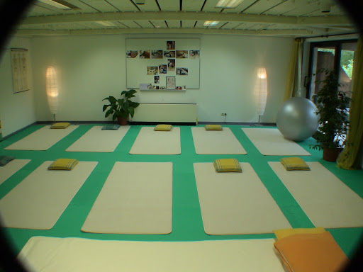 Allgäuer Institut für Feldenkrais & Dynintegra - Thumbnail