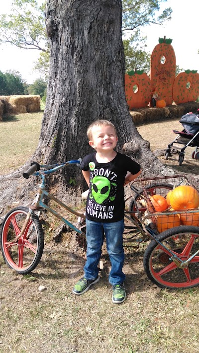 Anderson Farms Pumpkin Patch