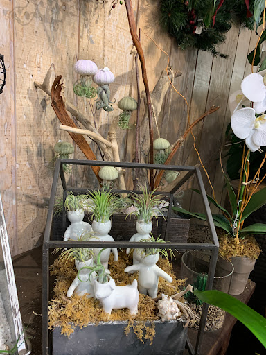 Harrison Flower Mart - Thumbnail