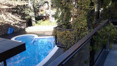 Photos of Apart Amonite