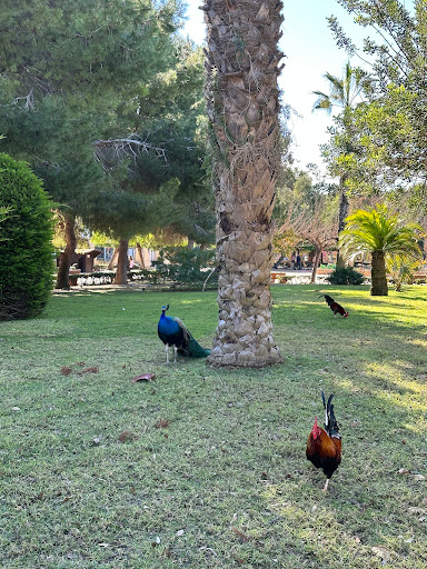 Jardín de Las NACIONES - Thumbnail