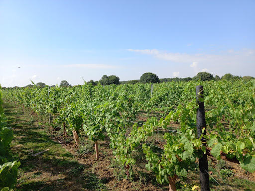 CHAFOR Wine Estate - Thumbnail