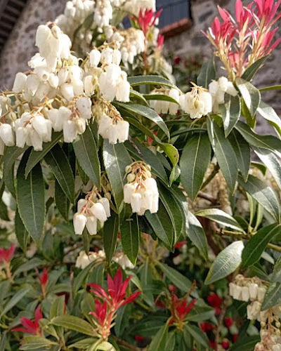 Comentarii opinii despre Sablé Didier Paysagiste Laval Changé 53 entretien de jardin terrasse décoration mobilier jardin