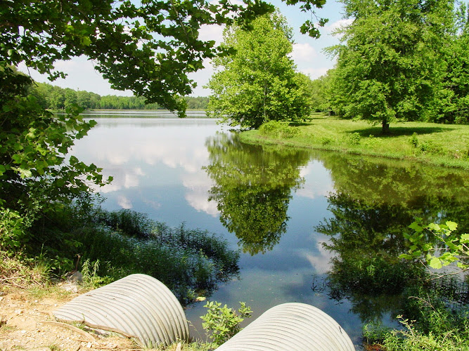 Gemini Engineering Sciences