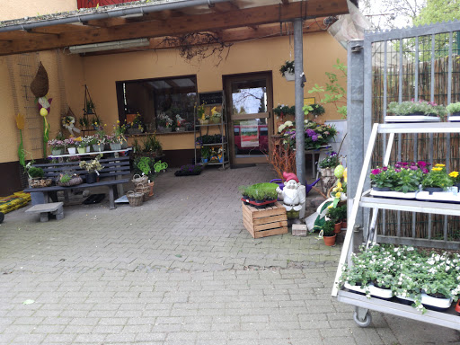 Blumen Oberkoxholt