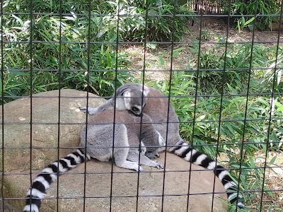 Hattiesburg Zoo