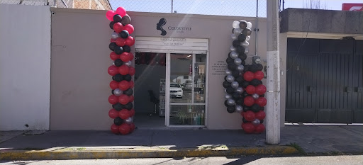 Color style salón