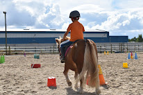 CENTRE EQUESTRE DU BOIS BRULE à Basse-Goulaine