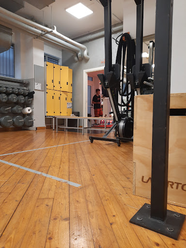 Palestra Ags Opera S.S.D. a R.L. - Thumbnail