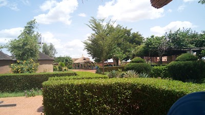 Photos of Le Grand Calao