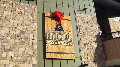 Rowdy Bear Mountain Coaster