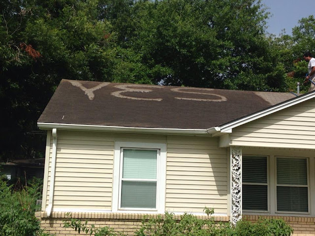 Clean and Green Solutions