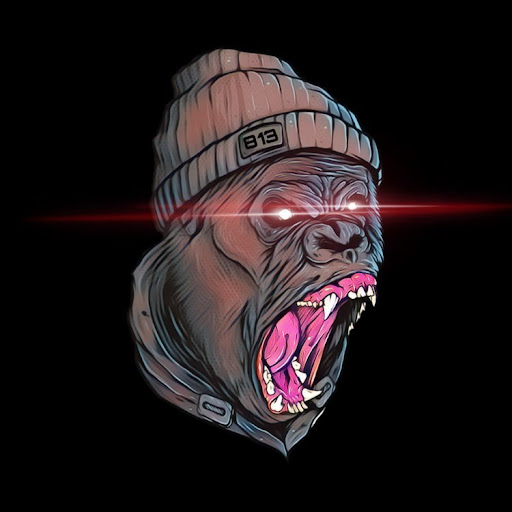 HeadHunchozTm - Visual