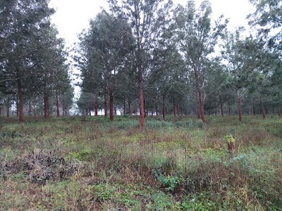 Photos of Bahati Ridge
