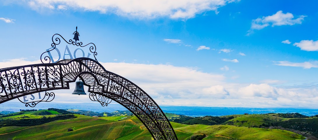 DAOU Vineyards by null