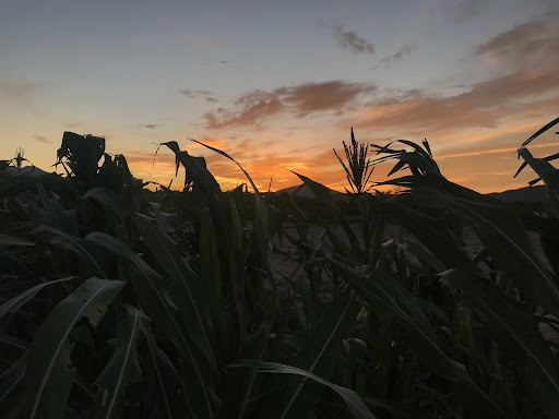 Rancho Santo Domingo - Thumbnail