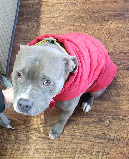 Tri-County Veterinary Services LLC - Thumbnail