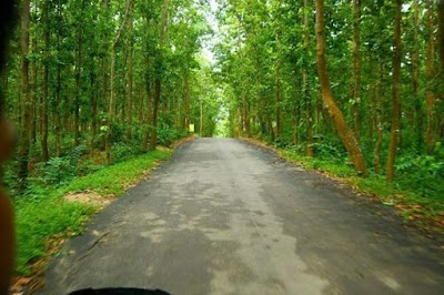 Photos of Gajni Obakash Lake