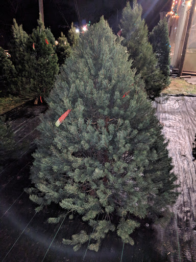 Winton Woods Garden Center and Florist (Shroyer Nursery)