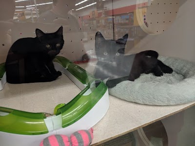 Petco