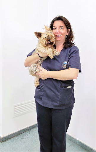 Gatcan, Clínica veterinaria Alicante