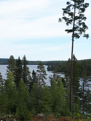 Kullgärdet Bjursås