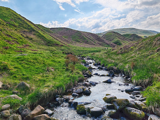 Bank Hill, Dollar, Clackmannanshire - Thumbnail