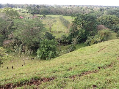 Photos of Cerro Negro