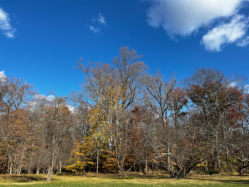 Cylburn Arboretum - Thumbnail