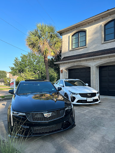 Optimum Exotics - Visual