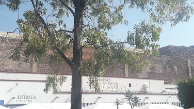 Photos of Museum of the Mummies of Guanajuato